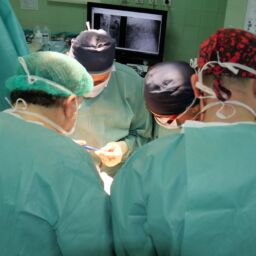 Prenos znanja iz SAD-a u oblasti spinalne hirurgije-